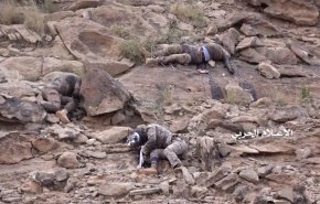 کشته و زخمی شدن مزدوران سعودی در عسیر
