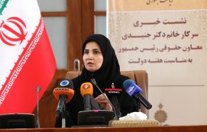 پایان جلسات ۳ جانبه ظریف، کدخدایی و معاون روحانی/ تعیین تکلیف CFT در مجمع