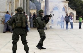 تقرير... 290 شهيدا فلسطينيا برصاص الاحتلال حصيلة عام 2018