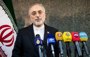 هیات نظارت بر برجام در خصوص ماندن یا خروج از آن تصمیم می‌گیرد
