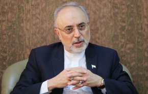 صالحی: مشابه کارخانه کیک زرد را در آینده در چند جای استان یزد خواهیم داشت
