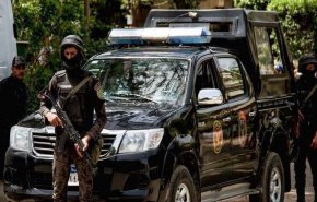 السلطات المصرية تضبط 336 قطعة أثرية قبل تهريبها(صورة)