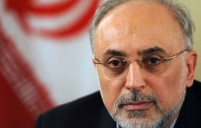 اروپایی ها در زمینه اقتصادی قدم امیدوار کننده ای برداشتند/ ایران آماده طراحی راکتورهای آب سبک برای کشورهای همسایه است