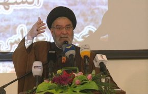 السيد إبراهيم أمين: انتصار الثورة هو انتصار للقيم