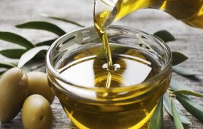 انتاج زيت الزيتون ینمو 30 بالمئة في ايران