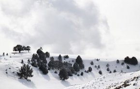 کاهش 10 درجه ای دما در برخی مناطق کشور
