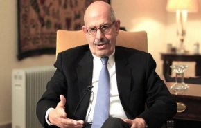 البرادعی به تحریک علیه دولت مصر متهم شد