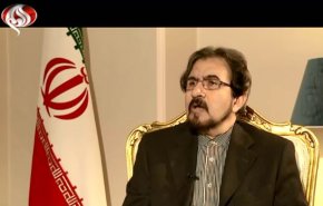 شورای همکاری خلیج فارس با رفتار ناپخته سعودی ها دچار مشکلات عدیده ای شده است/ حزب الله خود قربانی تروریسم است/ سوریه تنها نقطه اتکا و هم سویی ایران و روسیه تلقی نمی شود