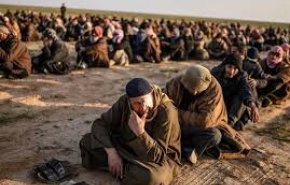 تحویل بیش از 200 مصری وابسته به گروههای تروریستی در سوریه به دستگاه اطلاعاتی مصر
