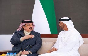 لماذا استدعى“ابن زايد” ملك البحرين؟