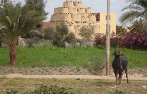 صورة.. لاجئ سوري هرب من الحرب فخسر ابنائه الاثنين بابشع الطرق
