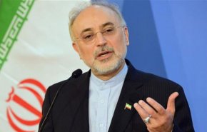 همه باور کرده‌اند آمریکا دشمن ماست/ رهبری از ابتدا گفتند نباید اعتماد کرد
