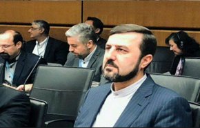 غریب‌آبادی: نقش کلیدی آمانو در ارتقای اهداف آژانس و حفظ برجام از یاد نخواهد رفت