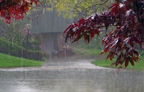 هشدار در خصوص بارش های 11 و 12 فروردین در استان تهران