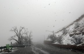 بارش زیبای برف بهاری در سنندج به روایت تصویر