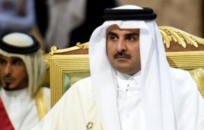 أمير قطر: التدخلات الدولية فاقمت الأزمة في سوريا
