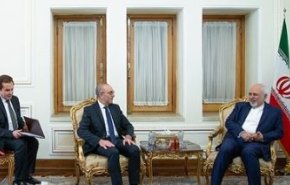 ظریف: تشکیل نهاد متناظر با اینستکس را به اتحادیه اروپا اعلام کرده‌ایم

