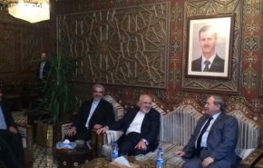 ظریف وارد دمشق شد+ تصاویر