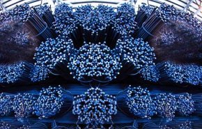فولاد کرمان بردسیر؛ نخستین تولید کنندۀ فولاد در جنوب شرق کشور