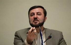 غریب‌آبادی دستاوردهای سفر وزیر امور اقتصادی و دارایی به وین را تشریح کرد

