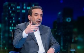 امیدواریم سفر آبه به تهران به کاهش تنش‌ها در منطقه منجر شود/ ژاپن احتمالا قادر باشد تا به آمریکایی‌ها شرایط کنونی را بفهماند
