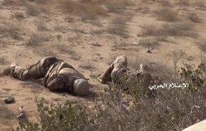 مصرع عشرات المرتزقة بكسر زحف لهم قبالة جيزان