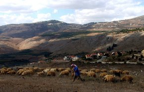 دورية صهيونية تسرق 200 رأس ماعز من لبنان واليونيفل تتدخل