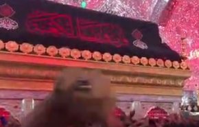 ویدئویی از حرم اميرالمؤمنين در شب شهادت مولا علی(ع) 