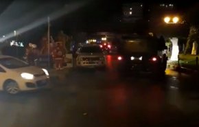 گرگ های منفرد لبنان را تهدید می کنند