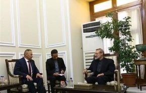 لاریجانی: کشورهای بزرگ تحریم‌های آمریکا علیه ایران را قبول ندارند
