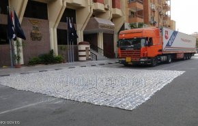 مصر تحبط تهريب شحنة مخدرات قادمة من دولة عربية