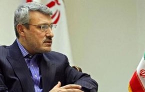 بعیدی نژاد: صحنه مصاحبه همسر زاغری ساختگی بود