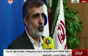 کمالوندی در گفتگو با العالم: بعد از مهلت 60 روزه گزینه های دیگر خود را اعلام خواهیم کرد