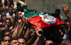 84 فلسطینی در نیمه اول 2019 به شهادت رسیدند
