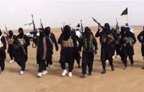 پلیس استرالیا: طرح داعش برای حمله تروریستی در سیدنی را خنثی کردیم