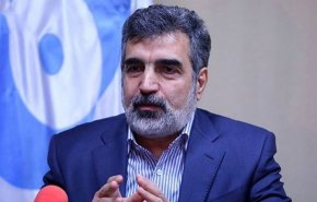 ایران فعلا از غنی‌سازی 4.5 درصد عبور نمی‌کند/ در حال حاضر نیازی به غنی‌سازی در سطح 20 درصد نداریم
