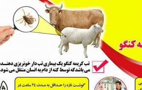 تب کریمه کنگو؛ بایدها و نبایدها