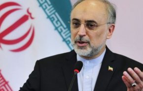نیروگاه بوشهر معادل 11 میلیون بشکه نفت برای کشور صرفه‌جویی می‌کند/ همچون یک سرباز آماده اجرای فرمان فرمانده‌های ارشد خود هستیم