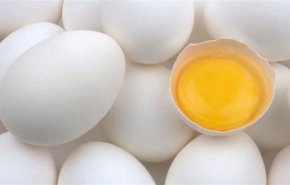 شاهد خرافات حول البيض لا تصدقها بعد اليوم