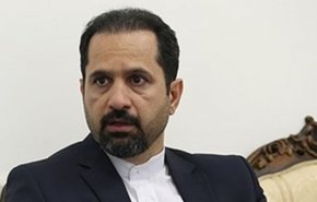 قریبی: تحریم ظریف نه به منافع آمریکا کمک می‌کند و نه به ایران و تخصص ظریف صدمه می‌زند
