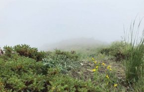 کاهش 4 تا 8 درجه ای دما/ صدای پای باران می آید