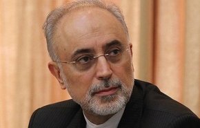 مدیرکل موقت آژانس بین‌‌المللی انرژی اتمی با صالحی دیدار کرد