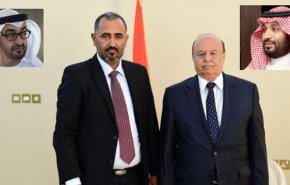 دولت «هادی»‌ خواستار توقف حمایت امارات از «شورشیان» جنوب یمن شد
