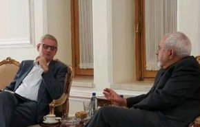 نخست وزیر اسبق سوئد با ظریف دیدار کرد