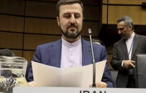 غریب آبادی: گزارش جدید آژانس بازهم پایبندی تهران به برجام را تائید کرد/عبور ذخیره اورانیوم غنی شده ایران از سقف برجام/ مصمم به برداشتن گام‌های اعلام شده هستیم