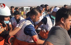 مجروح فلسطینی شهید شد؛ شهدای راهپیمایی بازگشت غزه به 307 نفر رسید

