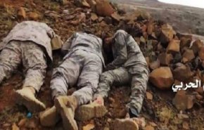 سام فاش کرد؛ ارتش سعودی وجود ندارد
