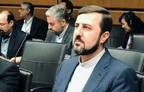 اظهار نظر سفیر ایران نزد سازمان های بین المللی نسبت به گزارش آژانس 