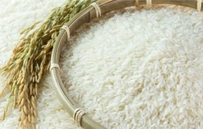 دعما للمنتج المحلي ... ايران تحظر استيراد الأرز