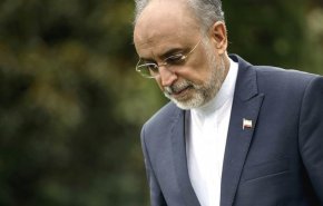 رئیس سازمان انرژی اتمی ایران وارد وین شد